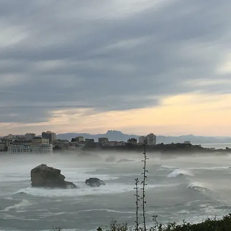 Studio 700 M De La Grande Plage. Apartment Biarritz